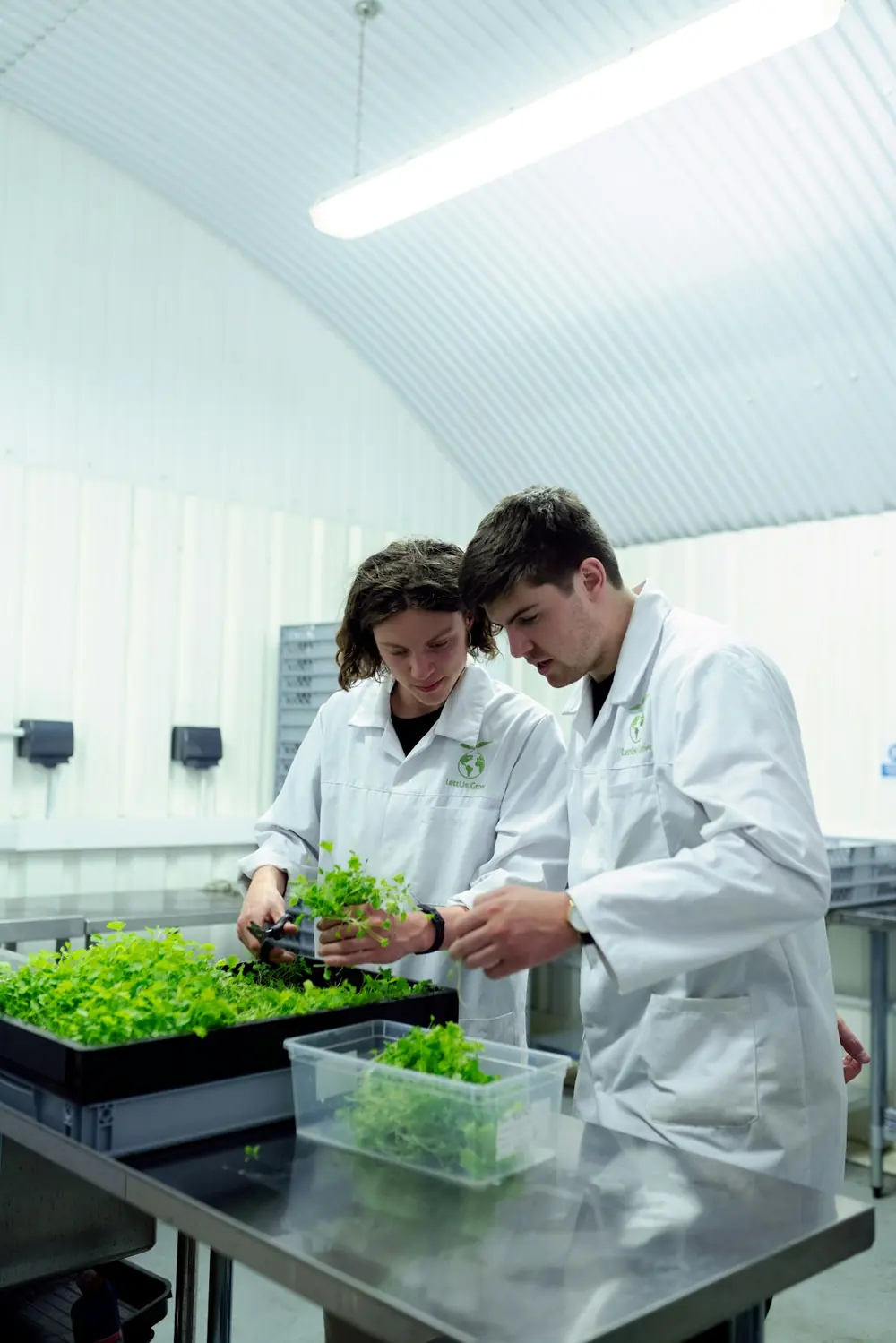 Researchers in lab coats examining young plants in a laboratory